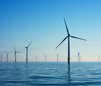 Marine Hydrodynamics  (Coastal processes and wave mechanics)