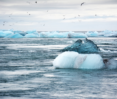 Ocean Optics and Satellite Oceanography
